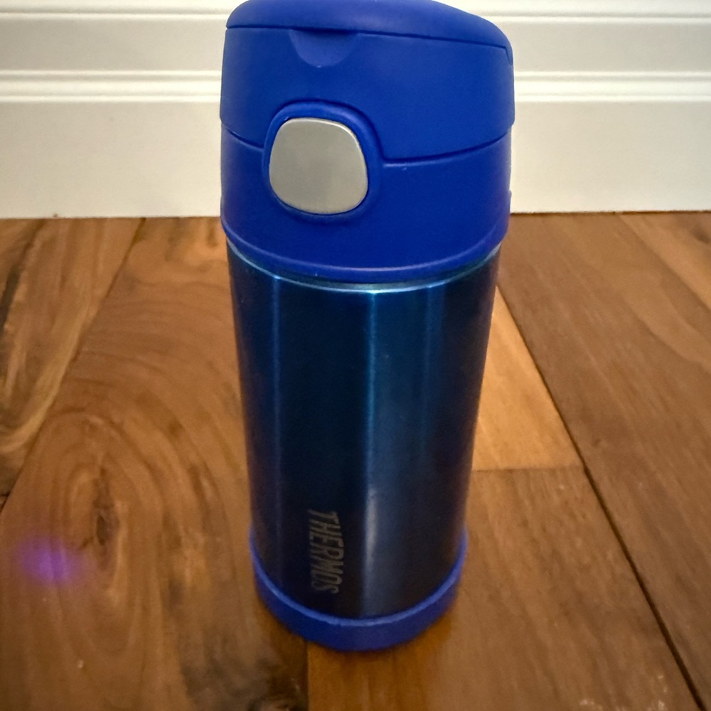 Thermos Blue Insulated water bottle with straw